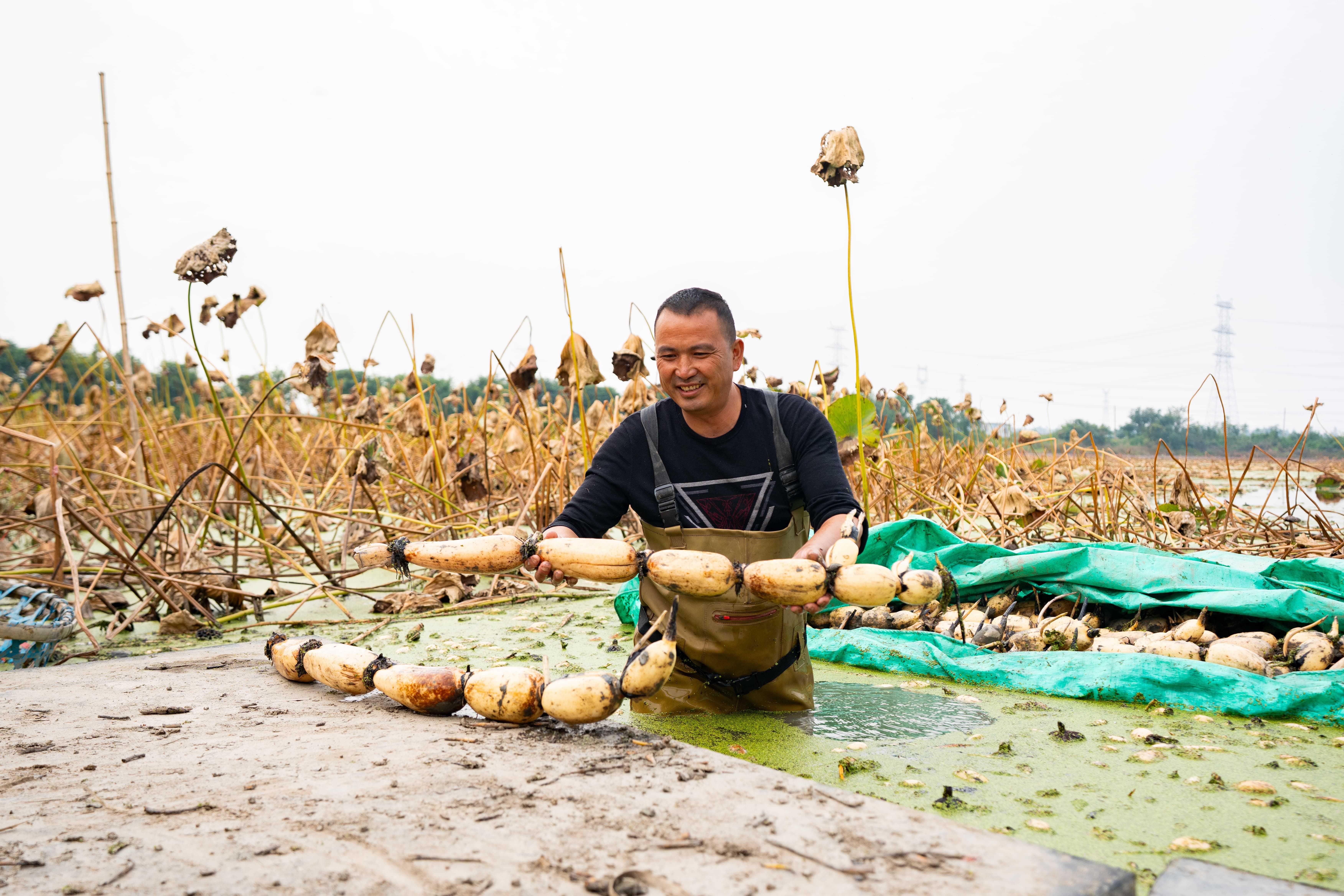 今天，东西湖两度亮相央视！