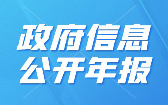 91论坛公开
年报