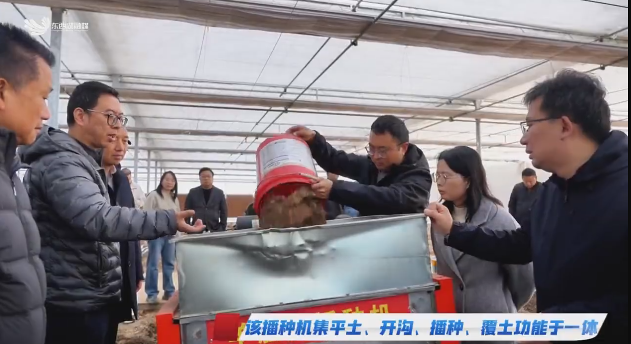 上新！区农投现代农业生产示范园打造羊肚菌种植基地