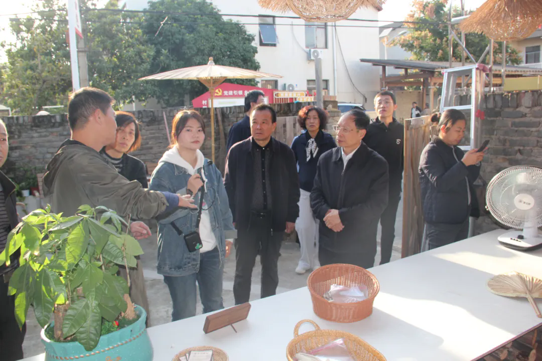 沧州市政协来我区考察调研和美乡村建设工作